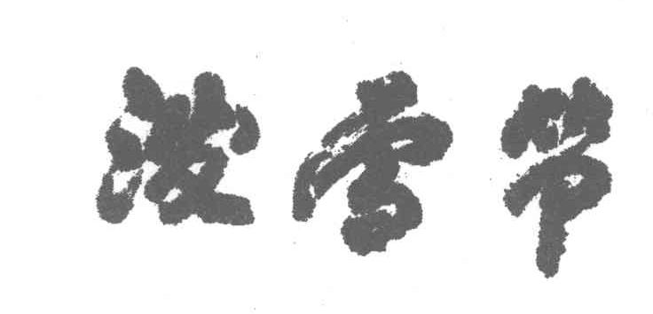 泼雪节