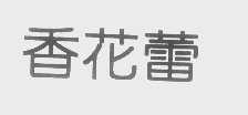 香花蕾