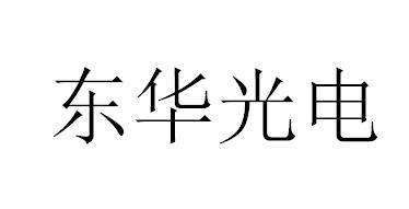 东华光电