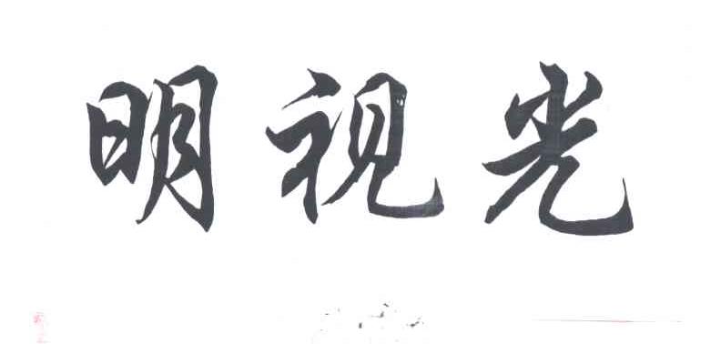 明视光