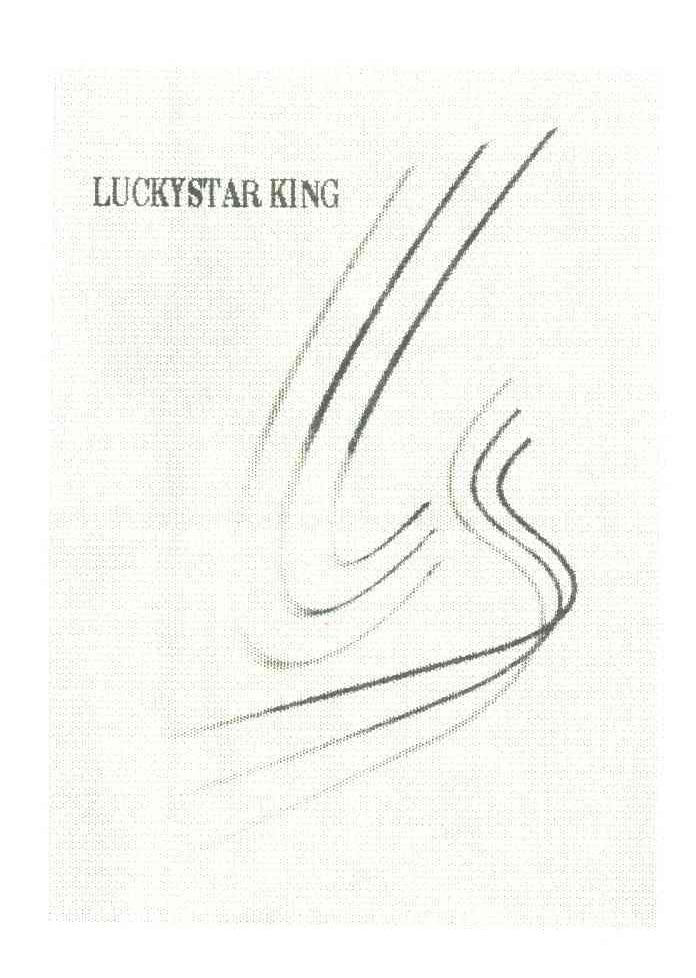 LUCKYSTAR KING