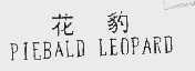 花豹    PIEBALD LEOPARD