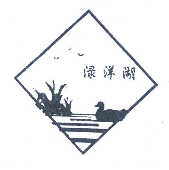 渌洋湖