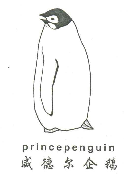 威德尔企鹅;PRINCEPENGUIN
