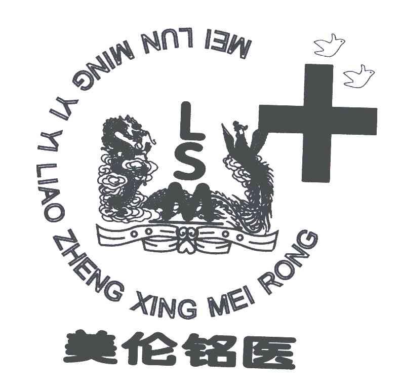 美伦铭医;MEI LUN MING YI YI LIAO ZHENG XING MEI RONG;LSM