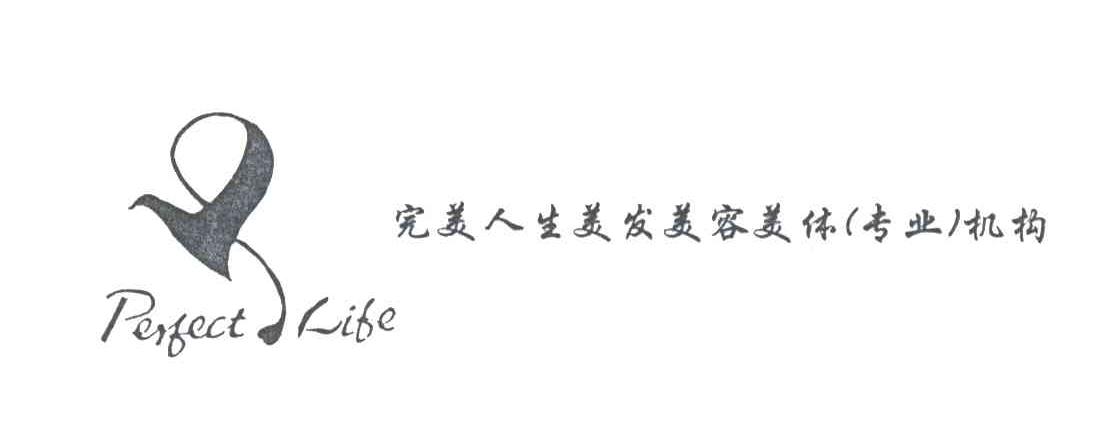 完美人生
