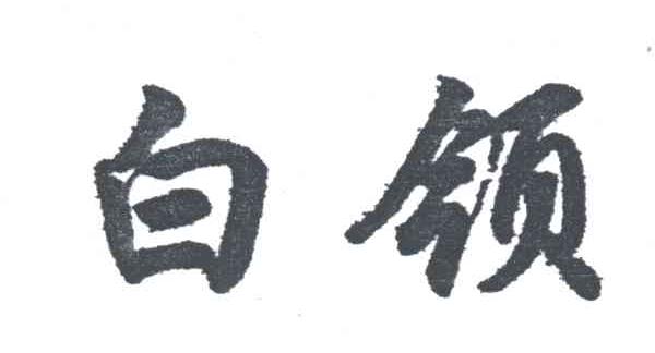 白领