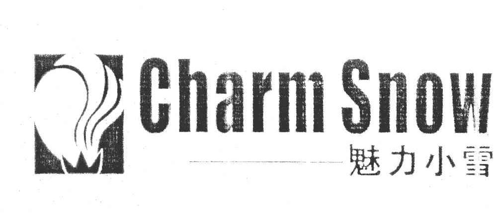 魅力小雪 CHARMSNOW