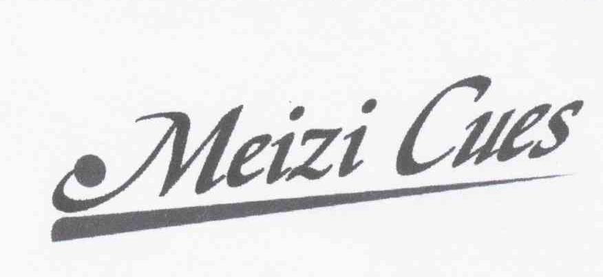 MEIZI CUES