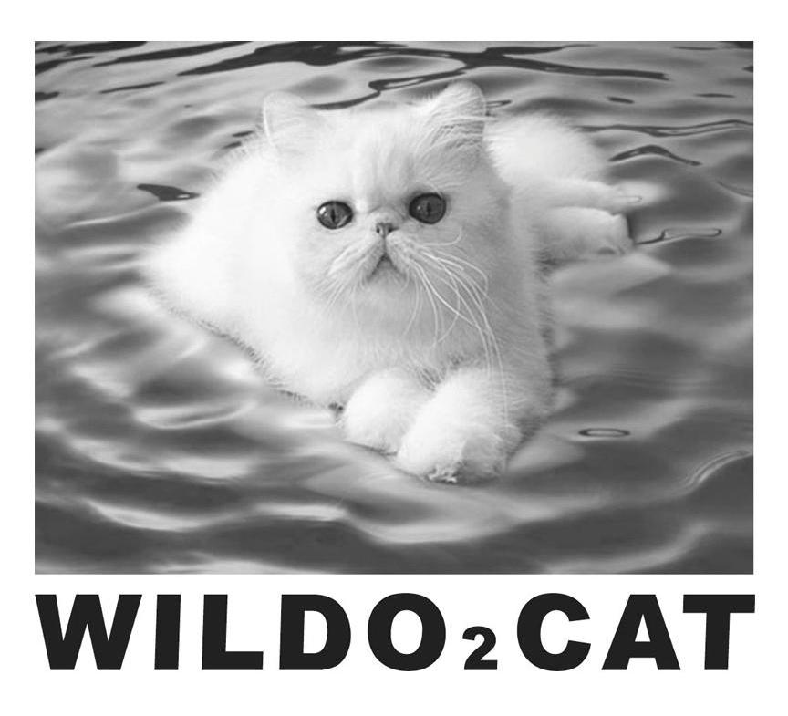 WILDO2CAT