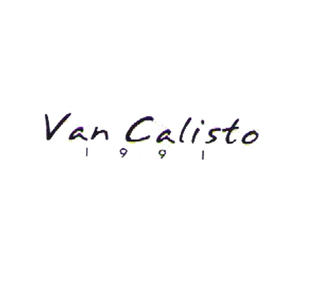 VAN CALISTO 1991