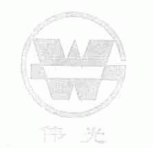 伟光