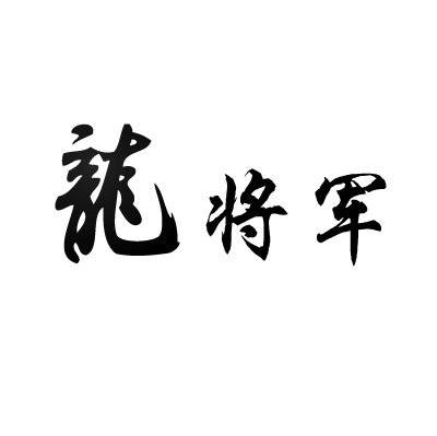 龙将军