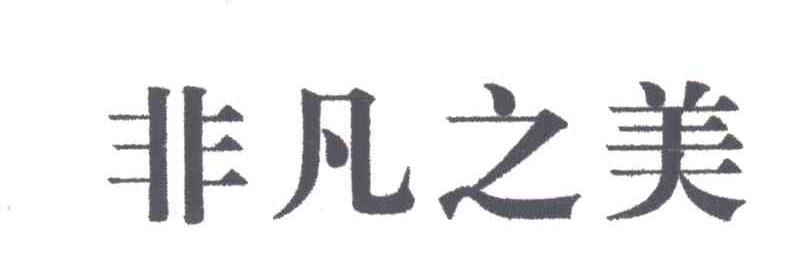 非凡之美