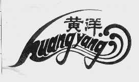 黄洋