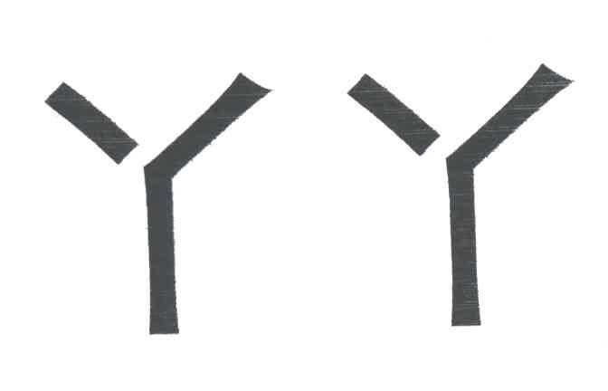 丫丫