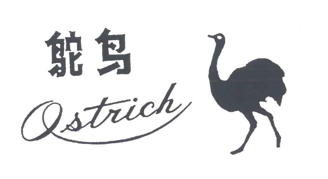 鸵鸟;OSTRICH