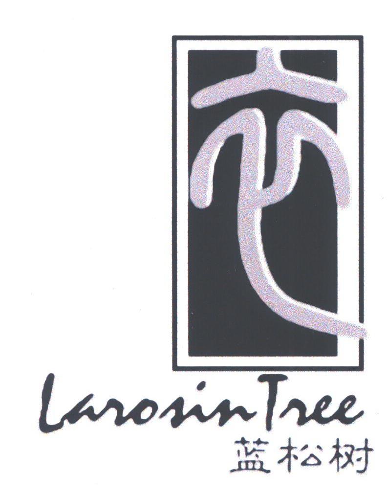 蓝松树;LAROSIN TREE
