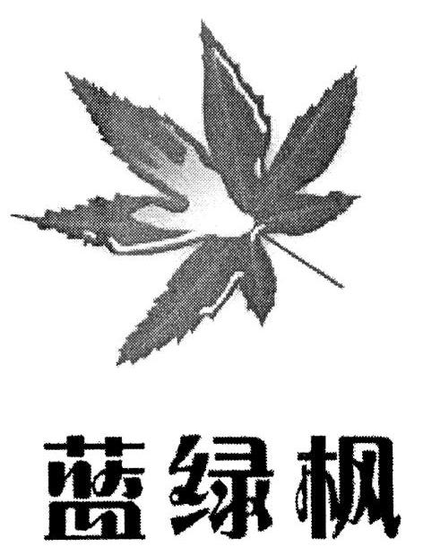 蓝绿枫