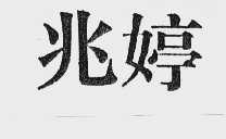兆婷