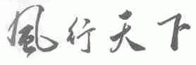 风行天下