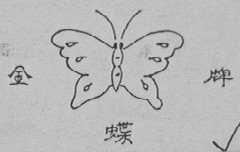 金蝶