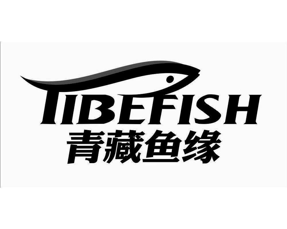 青藏鱼缘 TIBEFISH