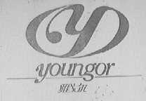 雅戈尔    YOUNGOR