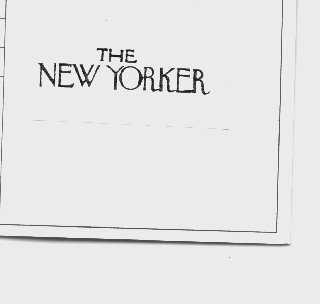 THE NEW YORKER