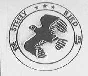 铁鸟  STEELY BIRD
