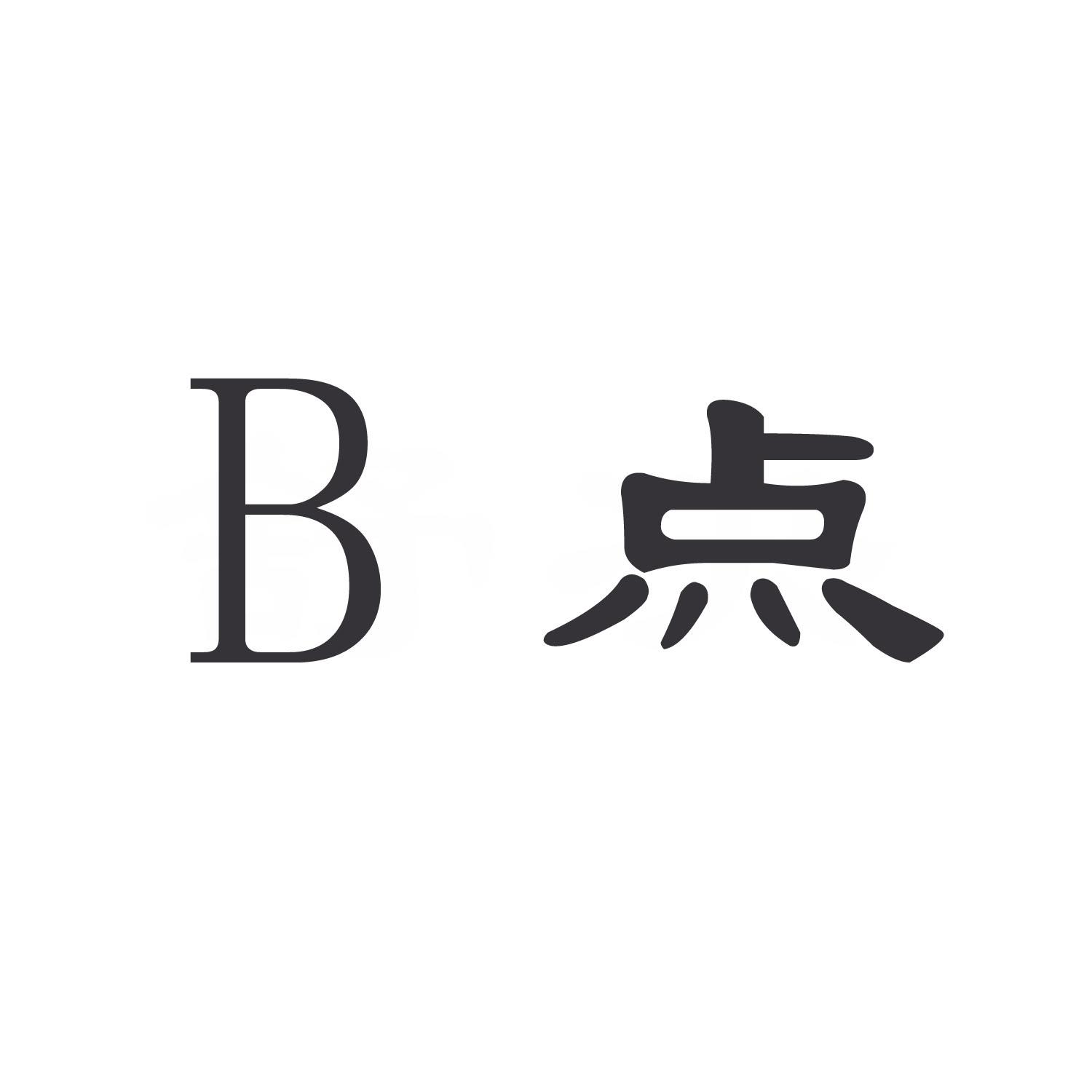 B 点