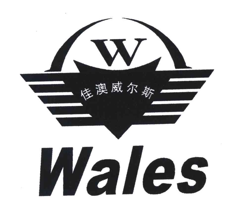 佳澳威尔斯;WALES;W