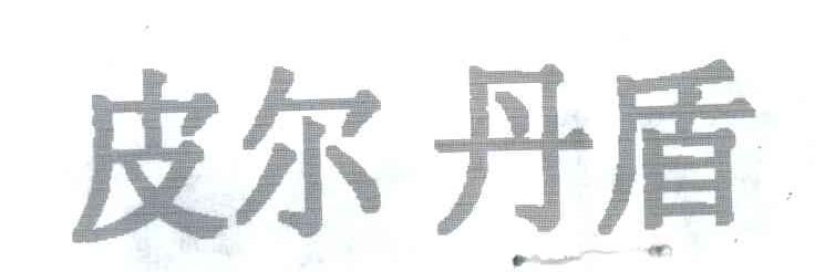 皮尔丹盾