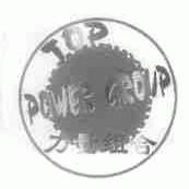 TOP POWER GROUP