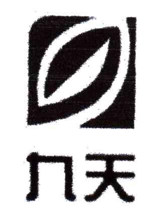 九天