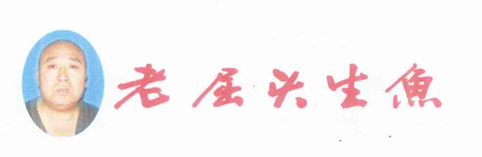 老屈头生鱼