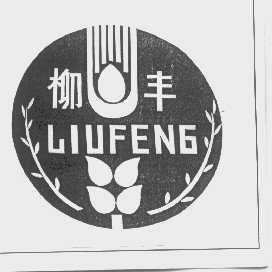 柳丰