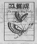 双蝶