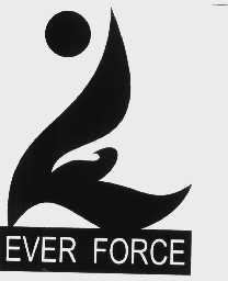 EVER FORCE