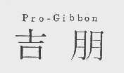 吉朋   PRO-GIBBON