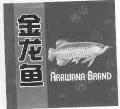 金龙鱼;ARAWANA