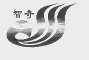 智奇