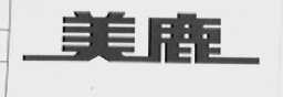 美鹿