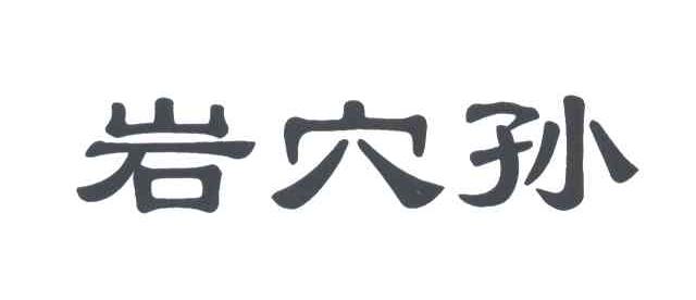 岩穴孙
