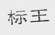 标王