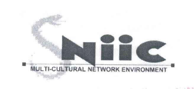SNIIC MULTI CULTURAL NETWORK ENVIRONMENT