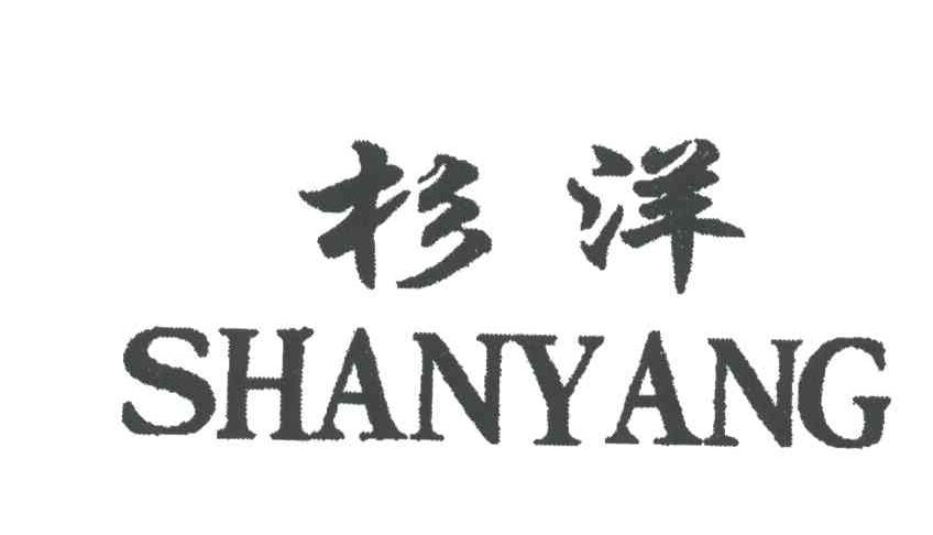 杉洋