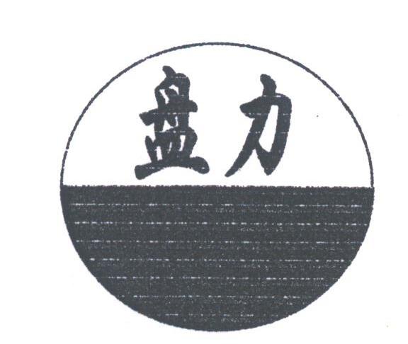 盘力