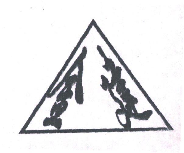 金建