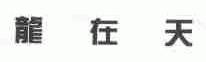 龙在天